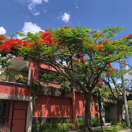 Hotel Arbol De Fuego سان سلفادور المظهر الخارجي الصورة