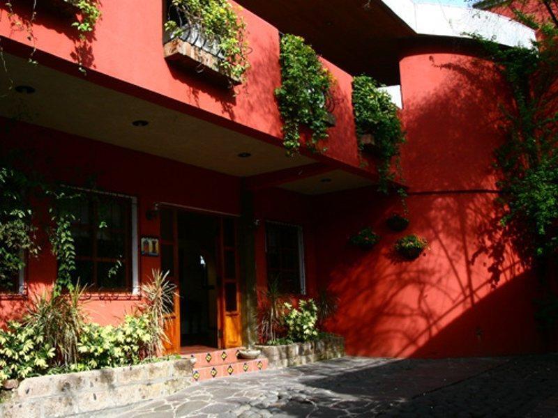 Hotel Arbol De Fuego سان سلفادور المظهر الخارجي الصورة