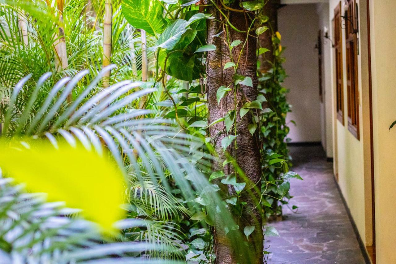 Hotel Arbol De Fuego سان سلفادور المظهر الخارجي الصورة