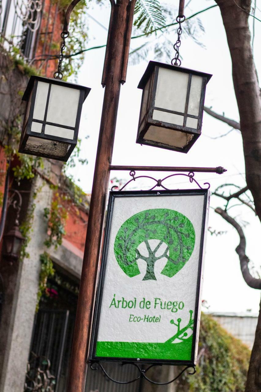 Hotel Arbol De Fuego سان سلفادور المظهر الخارجي الصورة
