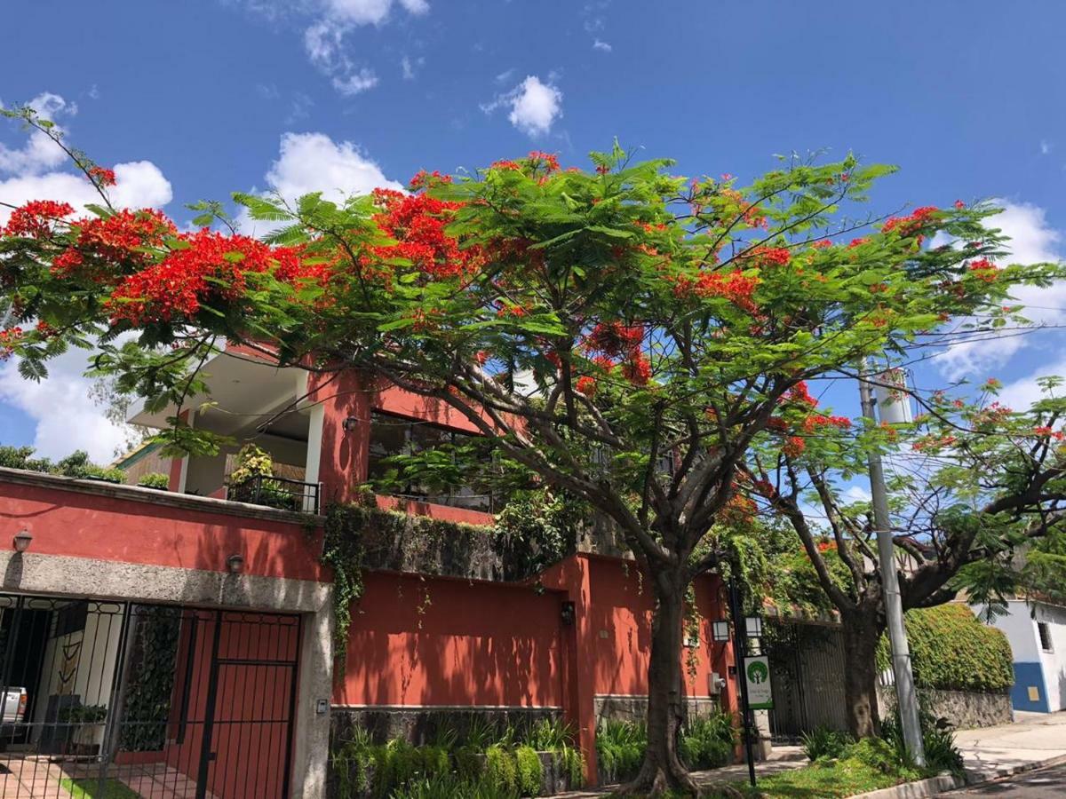 Hotel Arbol De Fuego سان سلفادور المظهر الخارجي الصورة